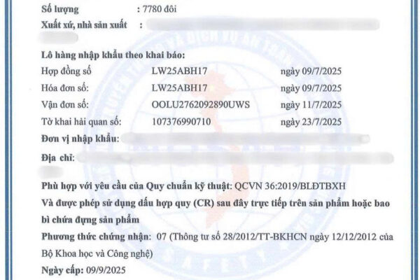 Giấy chứng nhận tiêu chuẩn kĩ thuật giày bảo hộ